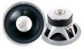 Rainbow Subwoofer 25 cm (10 Zoll) Profi