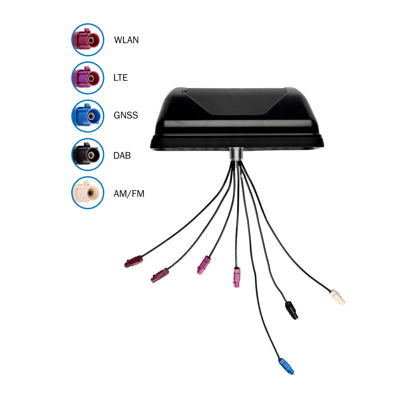 CITALL Dach Radio Peitsche Antenne Antenne Pol AM/FM mit Basis Fit