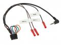 Einbauset mit Lenkradadapter fr Doppel DIN Autoradio in Ford C Max, Galaxy, Focus - Can-Bus, silber