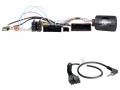 Connects2 CAN-Bus- / Lenkradadapter fr Ford Ranger / Everest / Transit / Custom auf Clarion