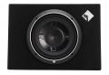 Rockford Fosgate PUNCH P3S-1X10 - 25 cm Passiv Subwoofer mit 600 Watt (RMS: 300 Watt)