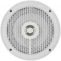 Renegade RSM-52W - 13 cm 2-Wege-Lautsprecher mit 120 Watt (RMS: 60 Watt)