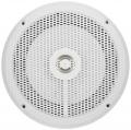 Renegade RSM-62W - 16,5 cm 2-Wege-Lautsprecher mit 160 Watt (RMS: 80 Watt)