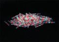 ACV Ltverbinder wrmeschrumpfend rot 2.5mmx40mm (100 Stck) - 347027-1