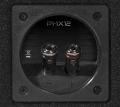 Rockford Fosgate PUNCH P1-1X12 - 30 cm Passiv Subwoofer mit 500 Watt (RMS: 250 Watt)