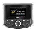Stinger SPXM1 - Marine und Powersports TFT Digital Media Player mit eingebautem Verstrker / USB