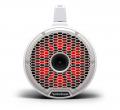 Rockford Fosgate Color Optix M2WL-10H - 25 cm Aufbau-Lautsprecher mit 1200 Watt (RMS: 300Watt)