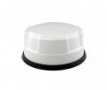 Panorama Dachantenne 4xLTE/ 5G/ 2xWLAN/ GPS HighPerformance wei mit 0,5m Kabelsatz - PAN-ANT505