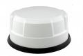 Dietz 5G/WLAN Router Teltonika RUTX50B mit ANT515 wei - TEL-RUTX50B-515
