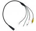 Axion CA 001A - Adapter Axion Kamera DIN 4PIN auf Cinch