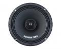 Ground Zero GZCF 6.5XSPL-NEO - 16,5 cm 2-Wege-Lautsprecher mit 250 Watt (RMS: 100 Watt)