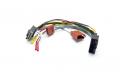 Audison Prima AP T-H FRD02 - T-frmiges Kabel fr Ford ab 2015