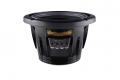Alpine Status R2-W10D4 - 25 cm Passiv Subwoofer mit 2250 Watt (RMS: 750 Watt)