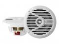 Alpine SPS-M601W - 16,5 cm 2-Wege-Lautsprecher mit 100 Watt (RMS: 30 Watt)