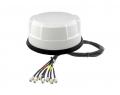 Panorama Antenne 4x5G / 2xWLAN / GPS High Performance mit 1,0 m Direkt-Kabelsatz, wei - PAN-ANT510