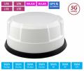 Teltonika 5G WLAN Router RUTX50B mit ANT530 wei - TEL-RUTX50B-530