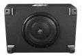 ESX Quantum QX10BXA - 25 cm Aktiv Subwoofer mit 1000 Watt (RMS: 500 Watt)