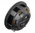 ESX Quantum QXP104 - 25 cm Passiv Subwoofer mit 1000 Watt (RMS: 500 Watt)