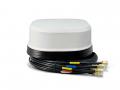 Teltonika 5G LTE WLAN Router RUTM54-12V und Satco Antenne wei� - TEL-RUTM54-SAW